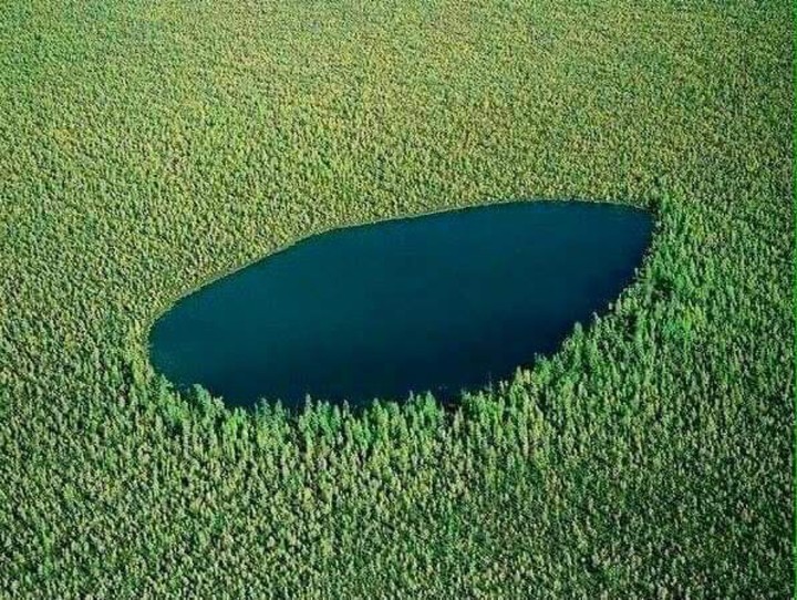 Mongolian nature