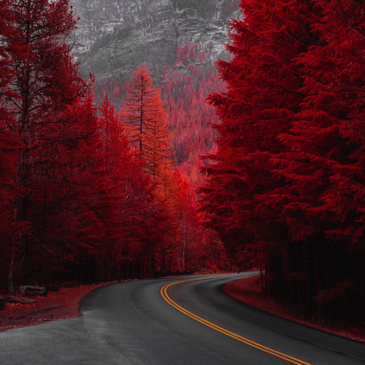 road