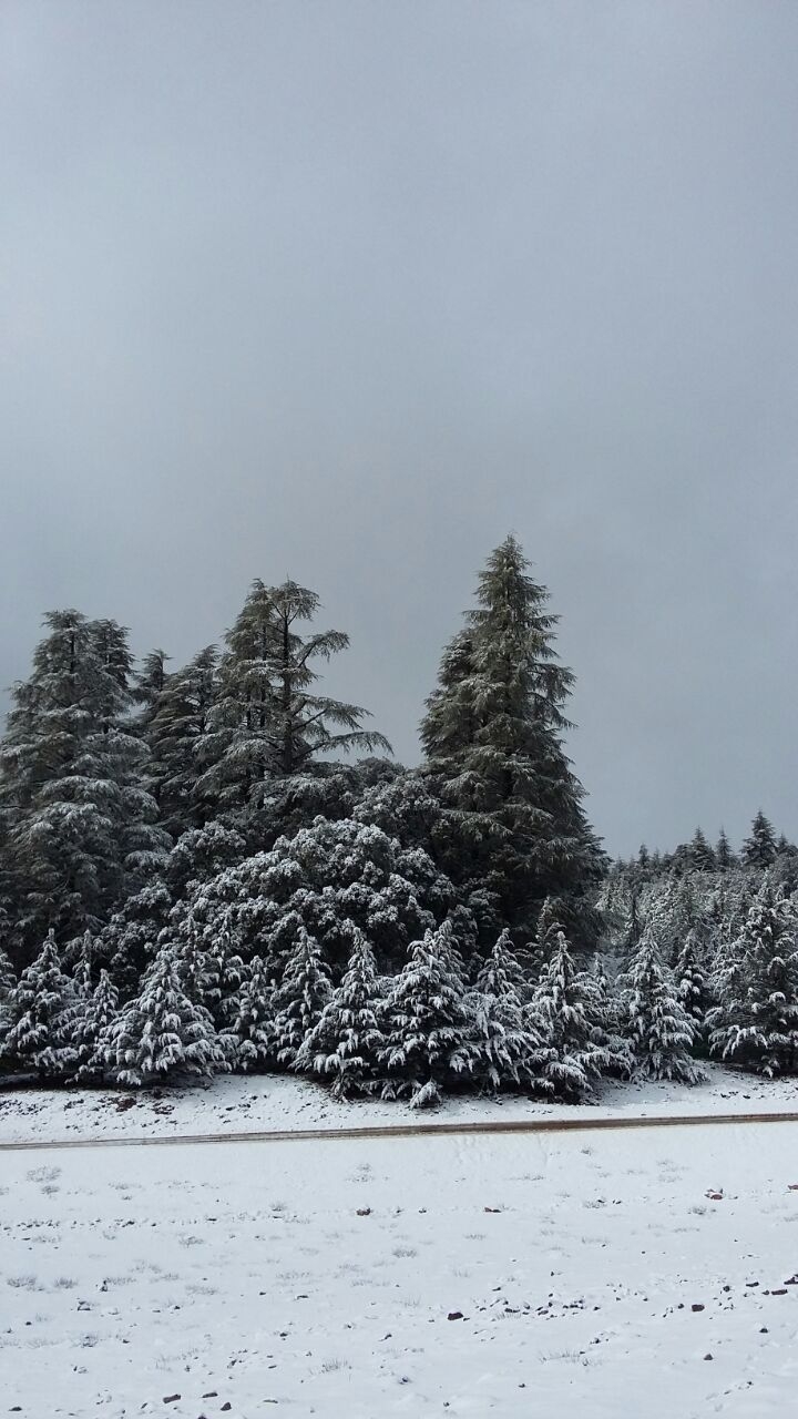 nature