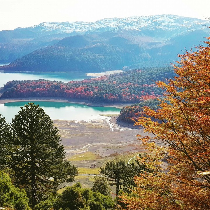 Naturaleza en todo su esplendor