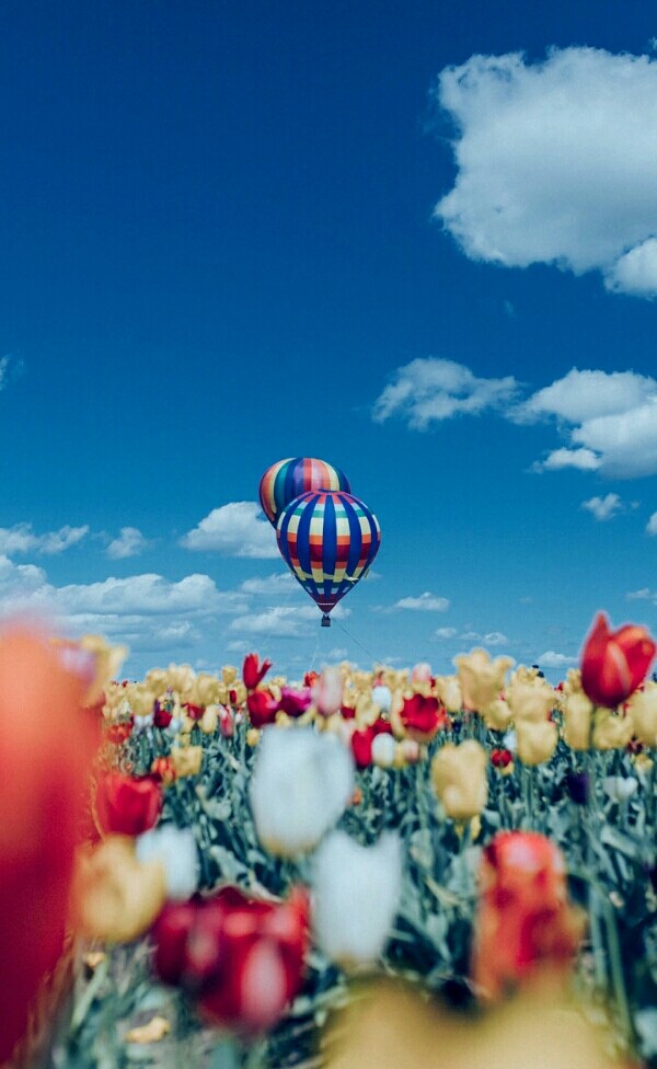 sky