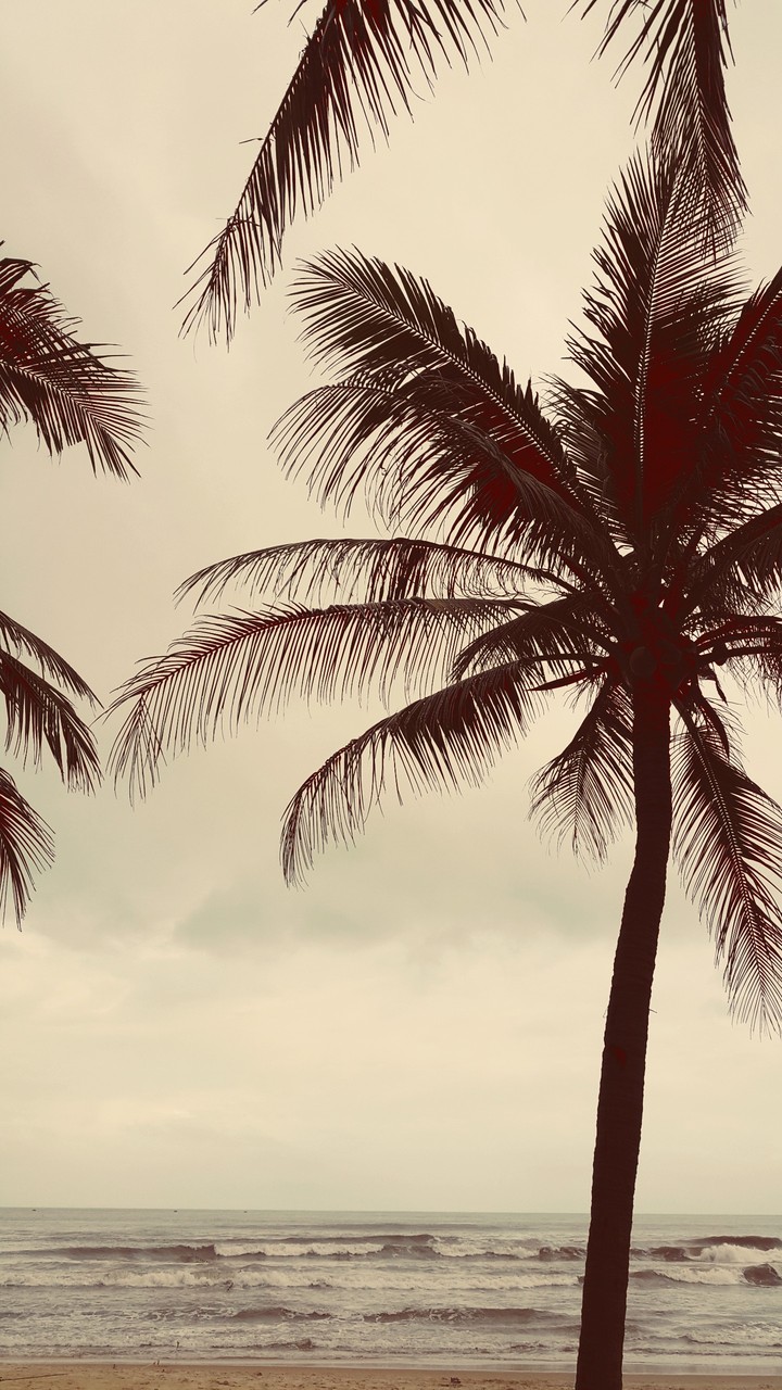 summer beach