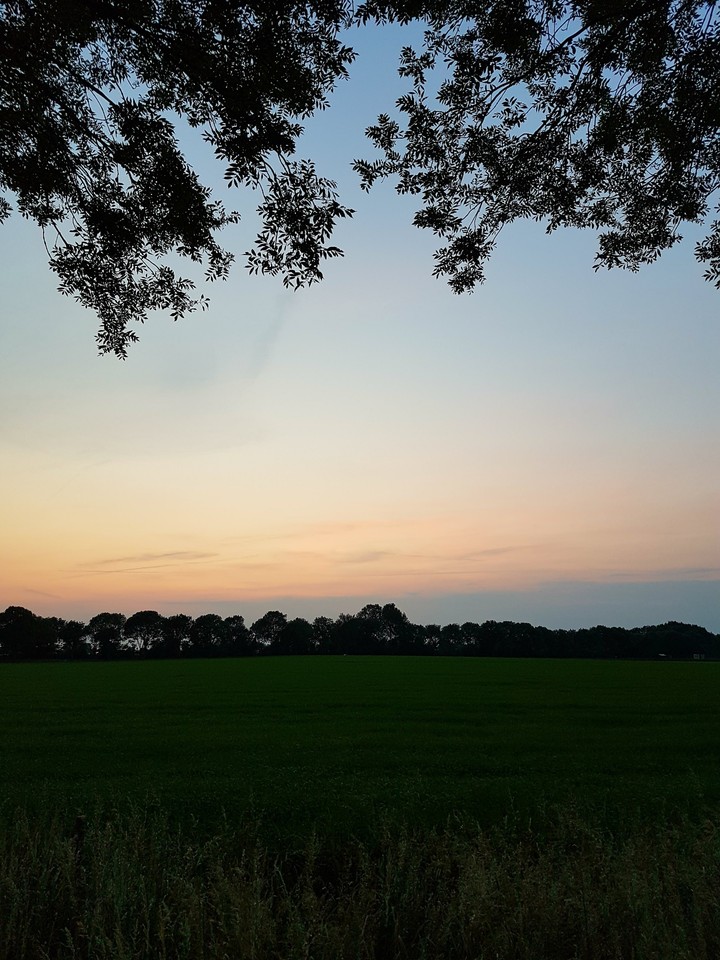 Summerevening