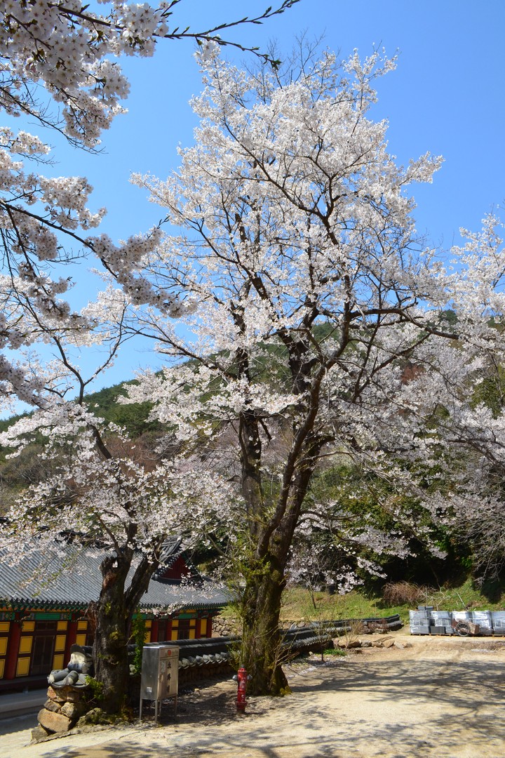 지리산이미지