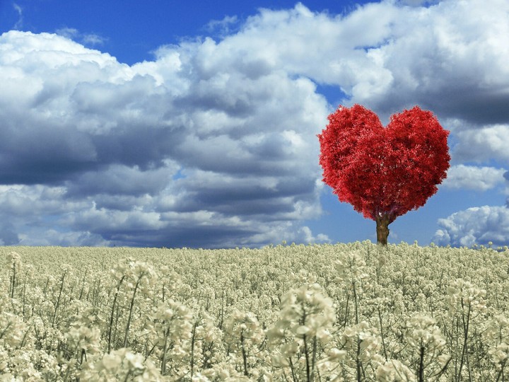 Happy Valentine's day