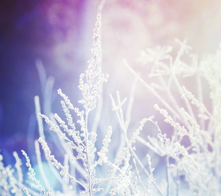 snow
