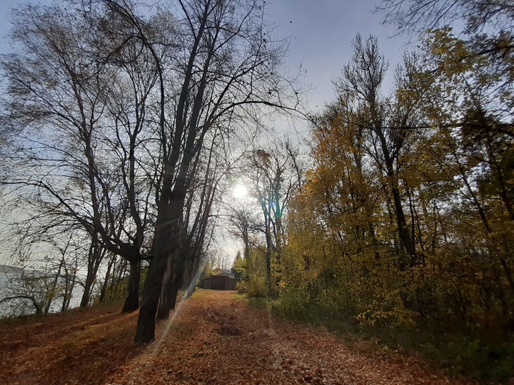 осень солнце красота