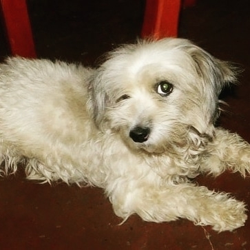 ourbabychloe