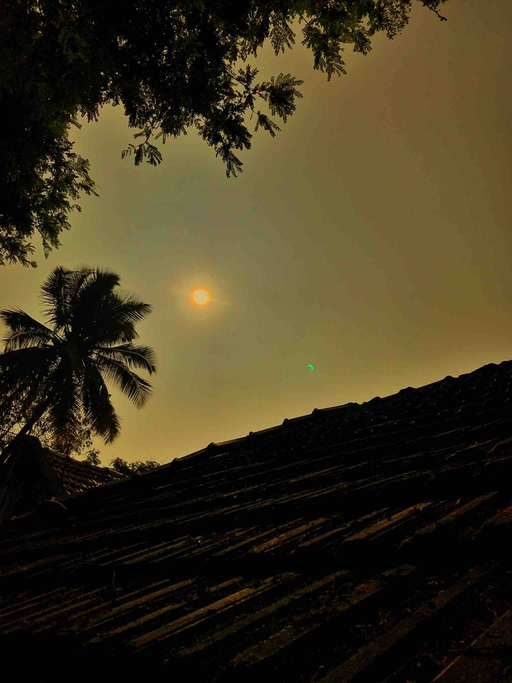 sun