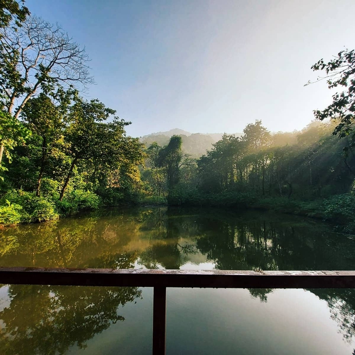 Serenity