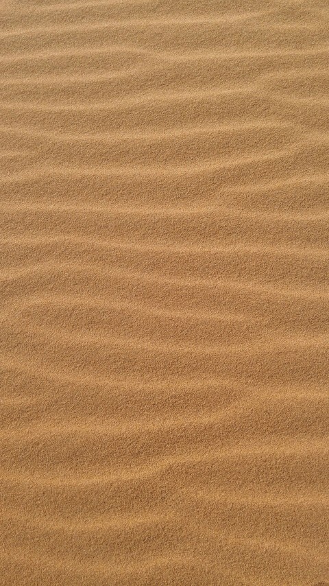 Waves of Wind