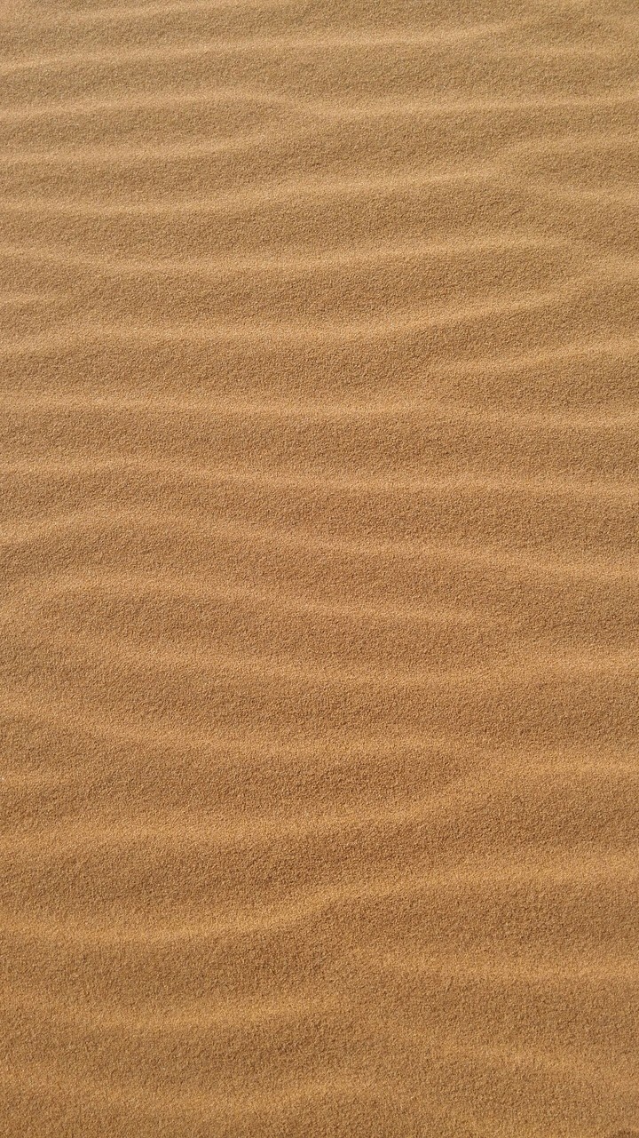 Waves of Wind