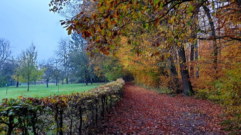 Autumn landscape