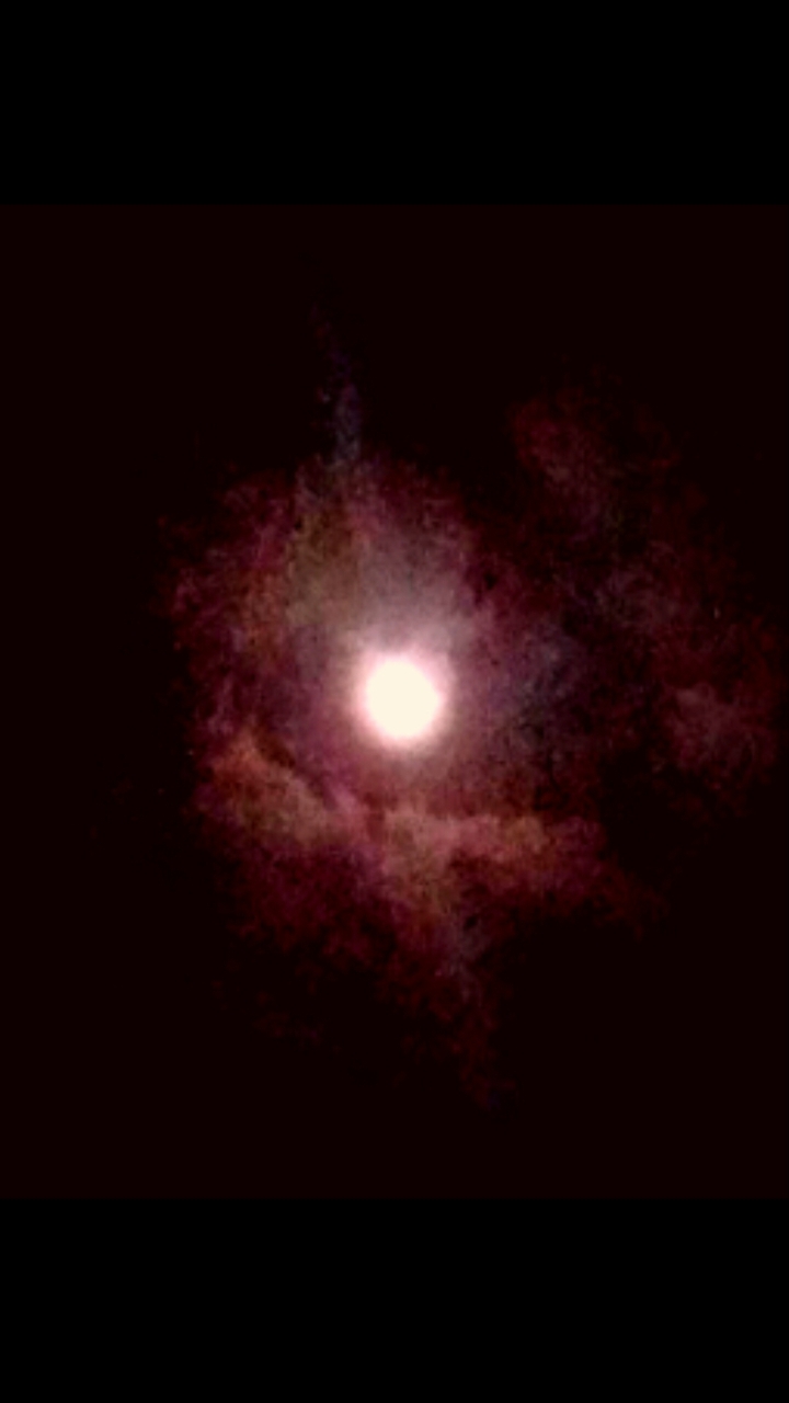 snow in moonlight