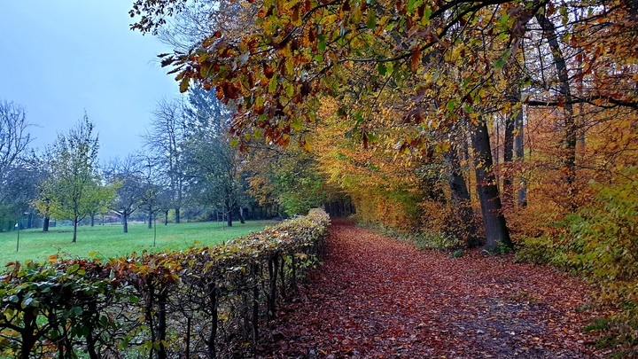 Autumn landscape