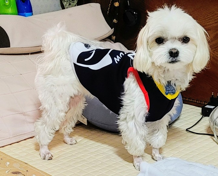 짱