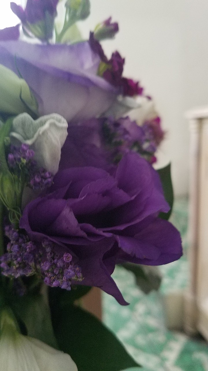 Purple Flower