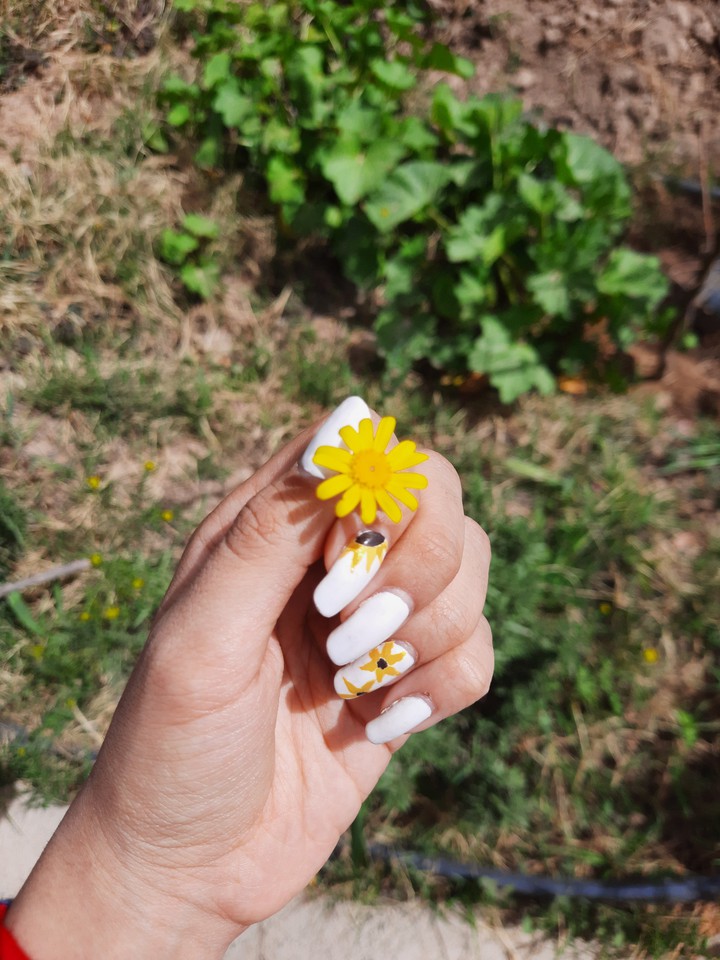 yellow flower
