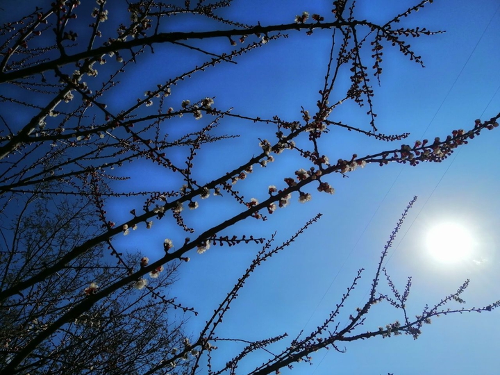 spring,sky