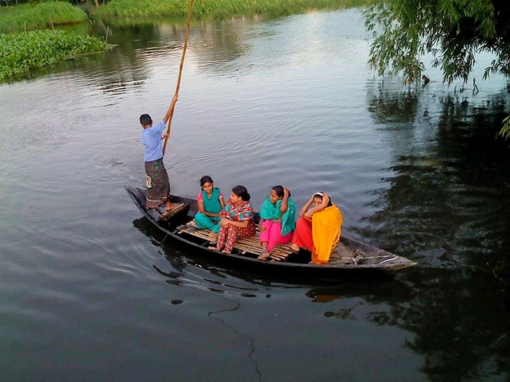 Familiar view of rural Bengal during the rainy season