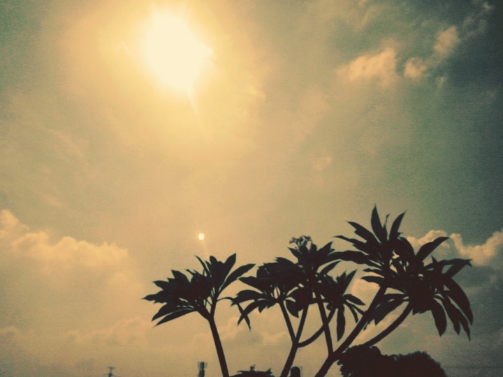 street capture