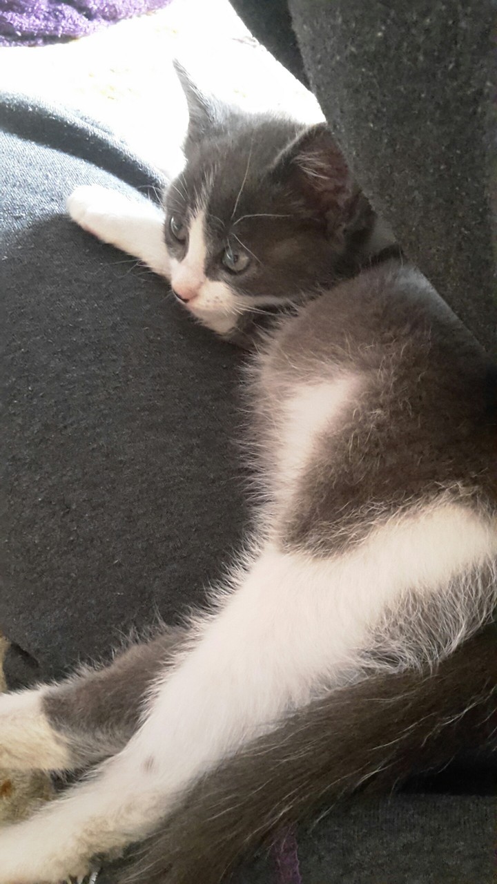 ??