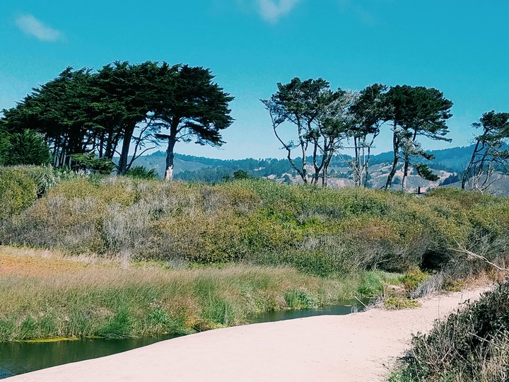Along the coast of California