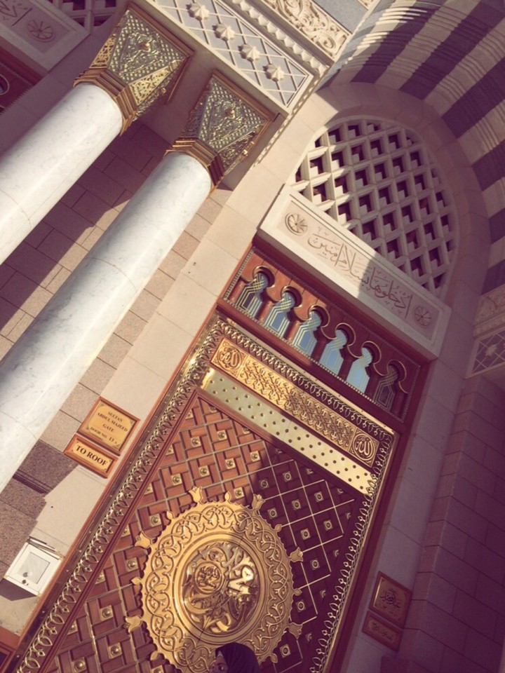 I want to go back to this place