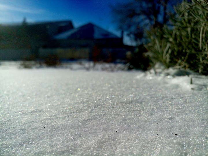 snow day