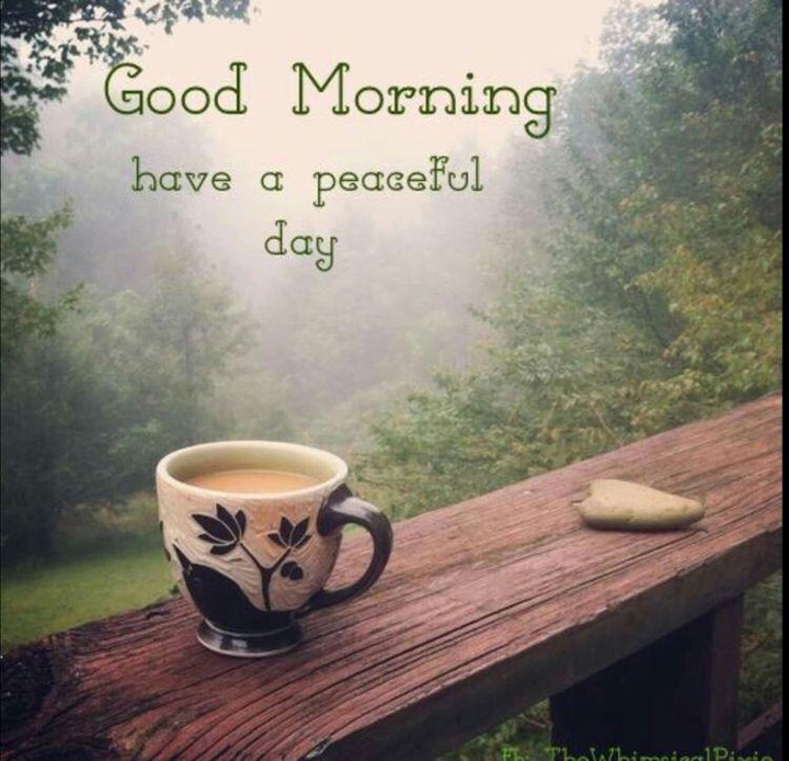 #good morning