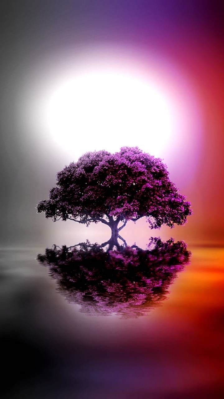 tree