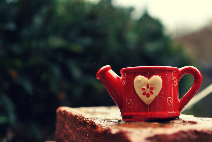 tiny watering can