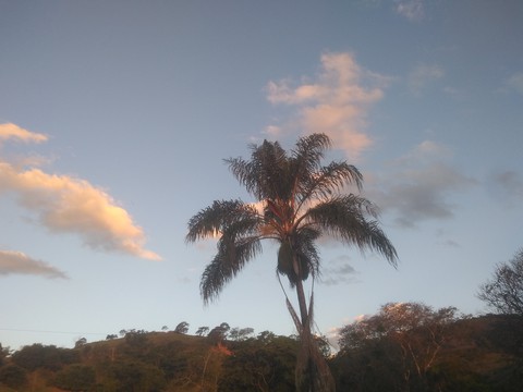 nature