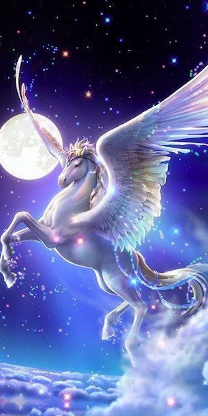 Pegasus unicorn cool wallpaper