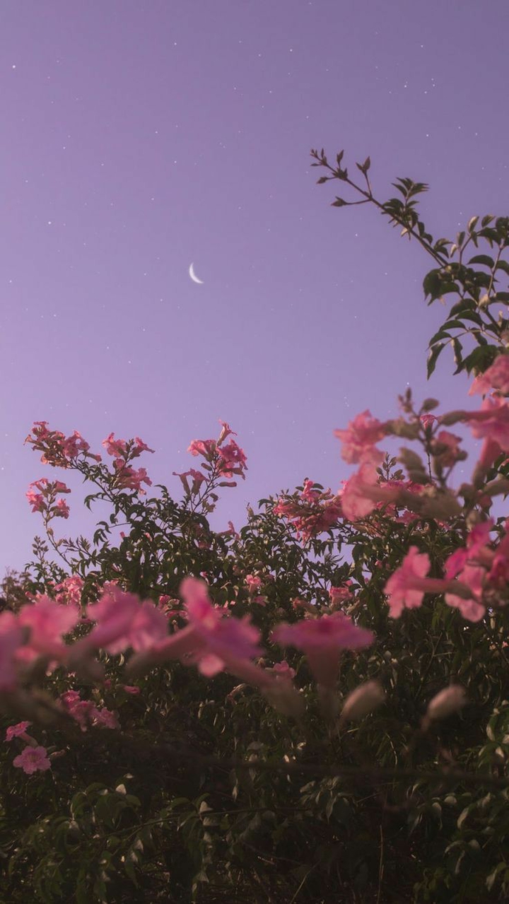 Moon dust in your lungs