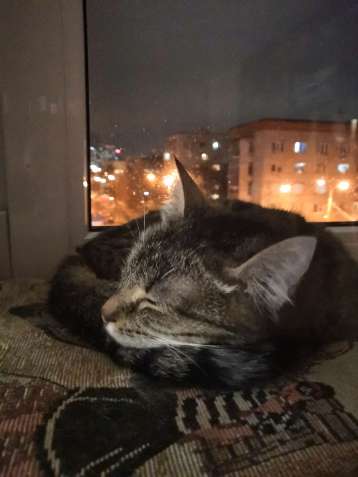 Pipa