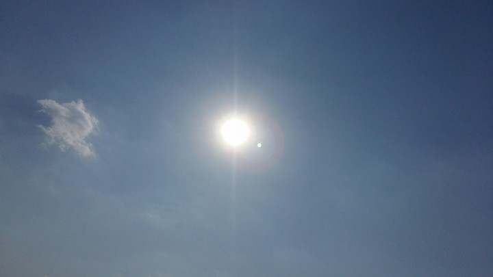 Sunny