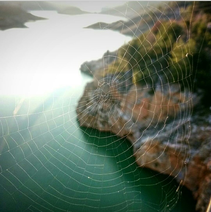 Dimçay