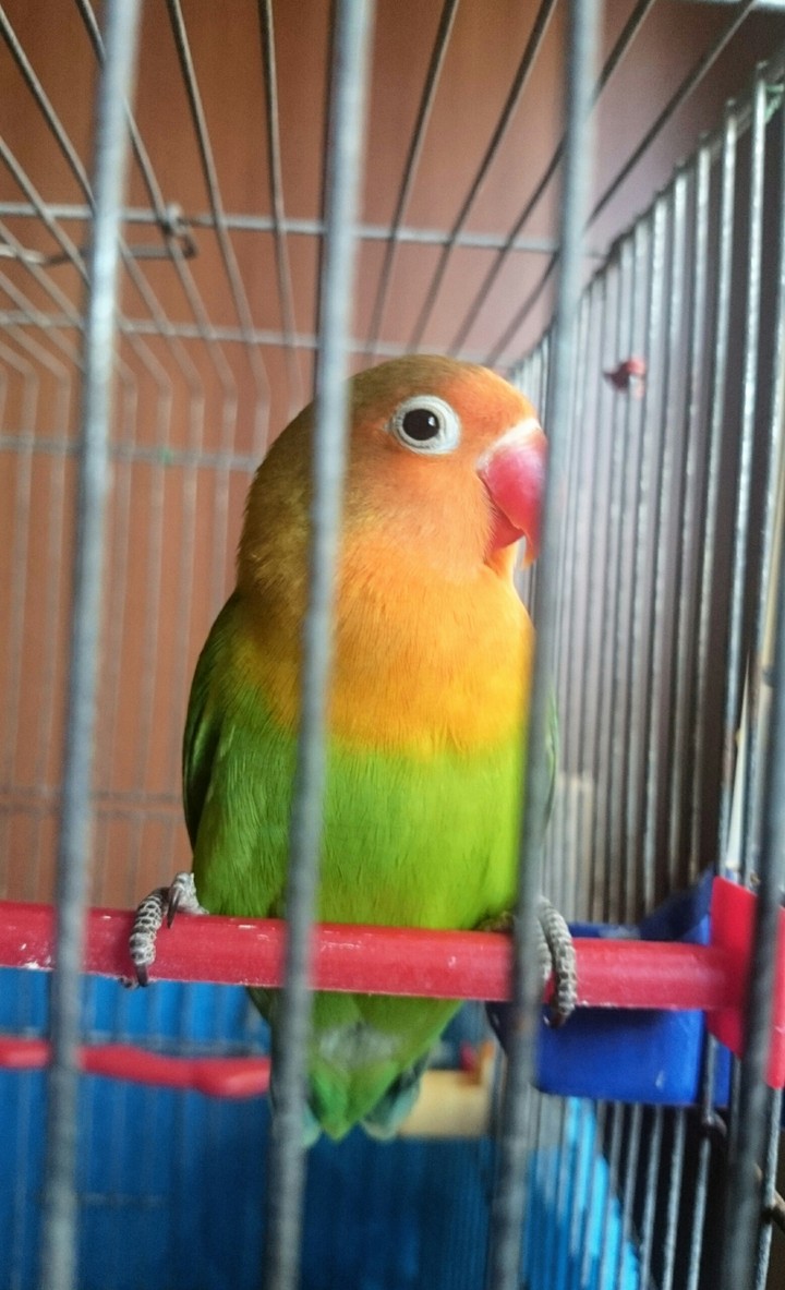 ❤