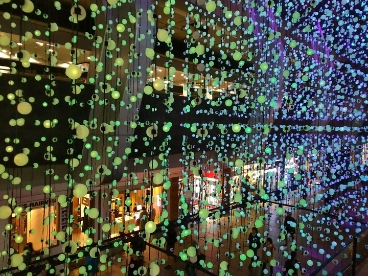 Vivid Lights Festival