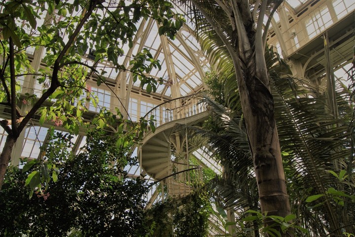 inside botanical gardens