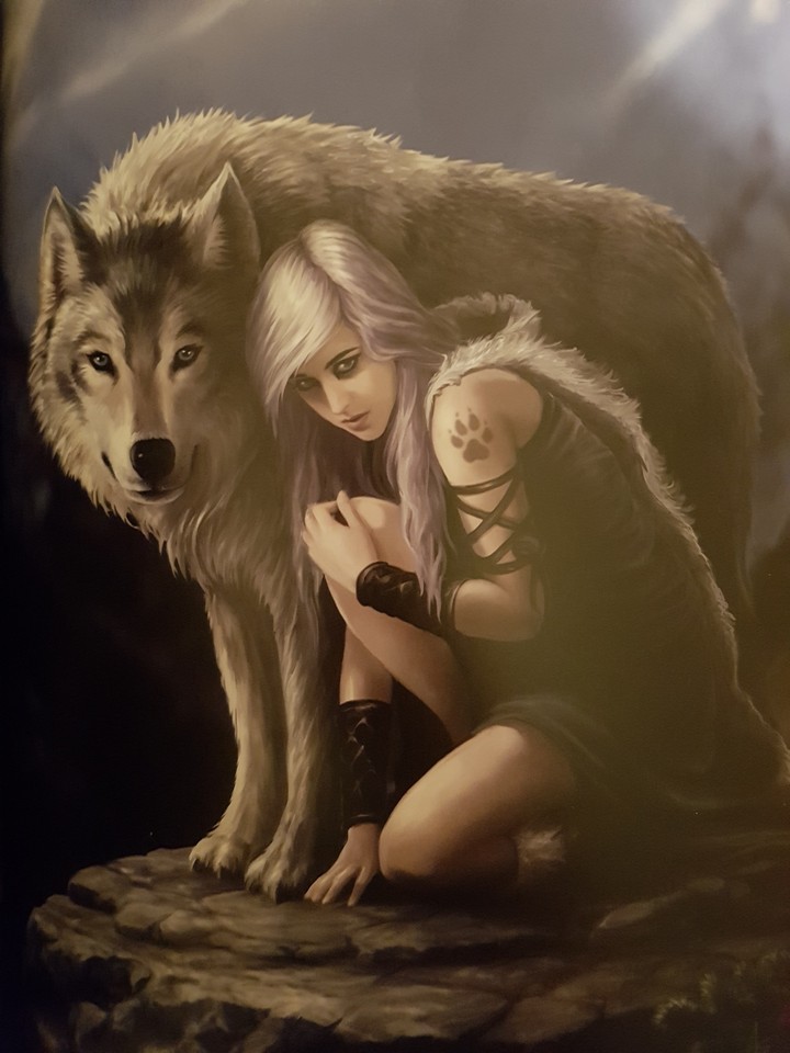 Fantasy Wolve