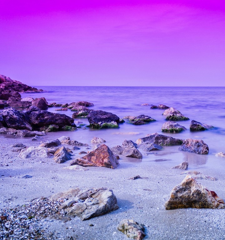 Purple
