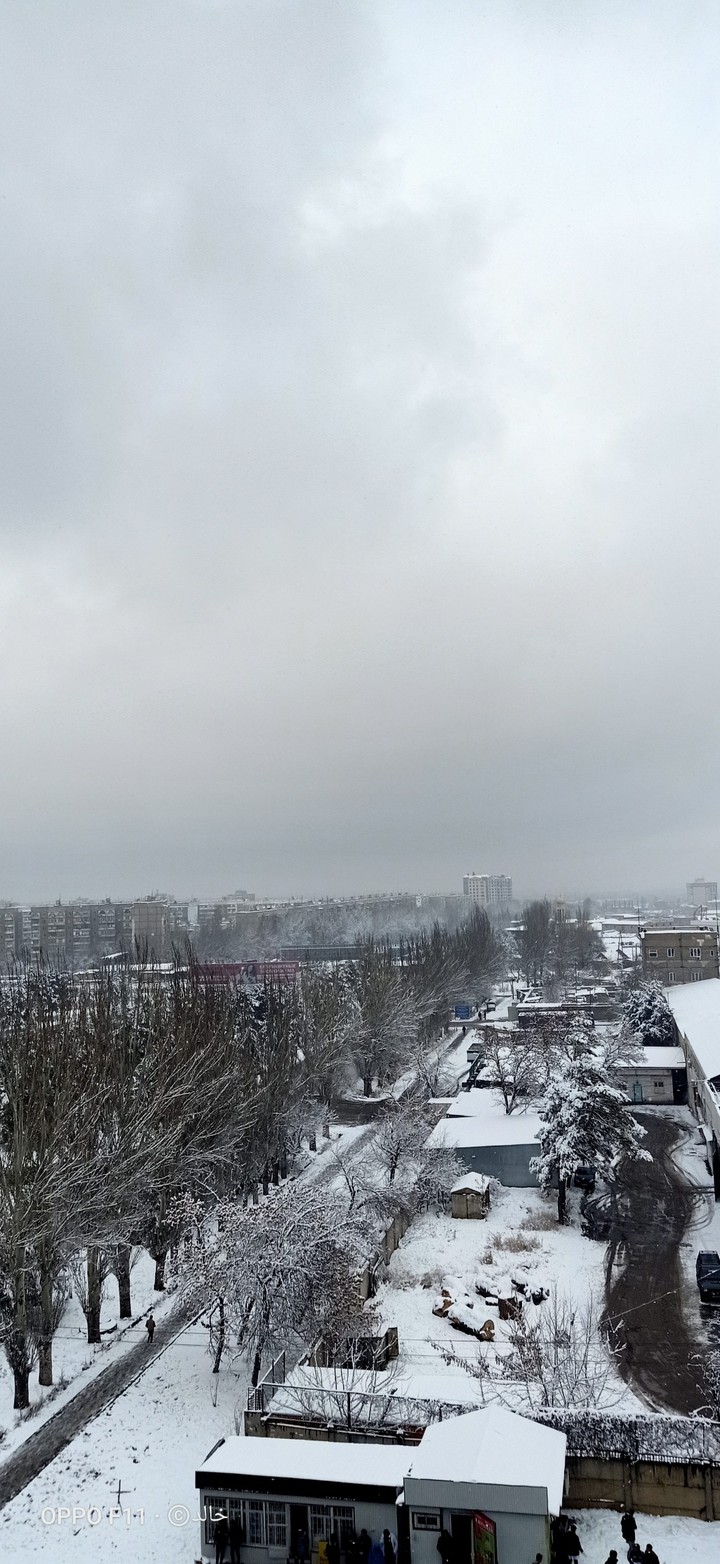Snow ❄️❄️