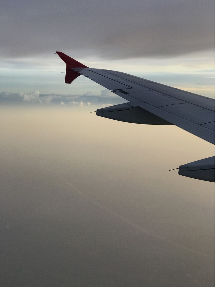 wing