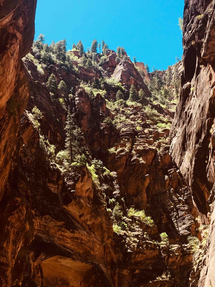 Canyon