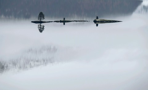 reflection