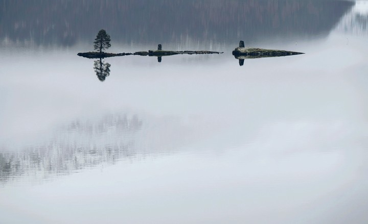 reflection
