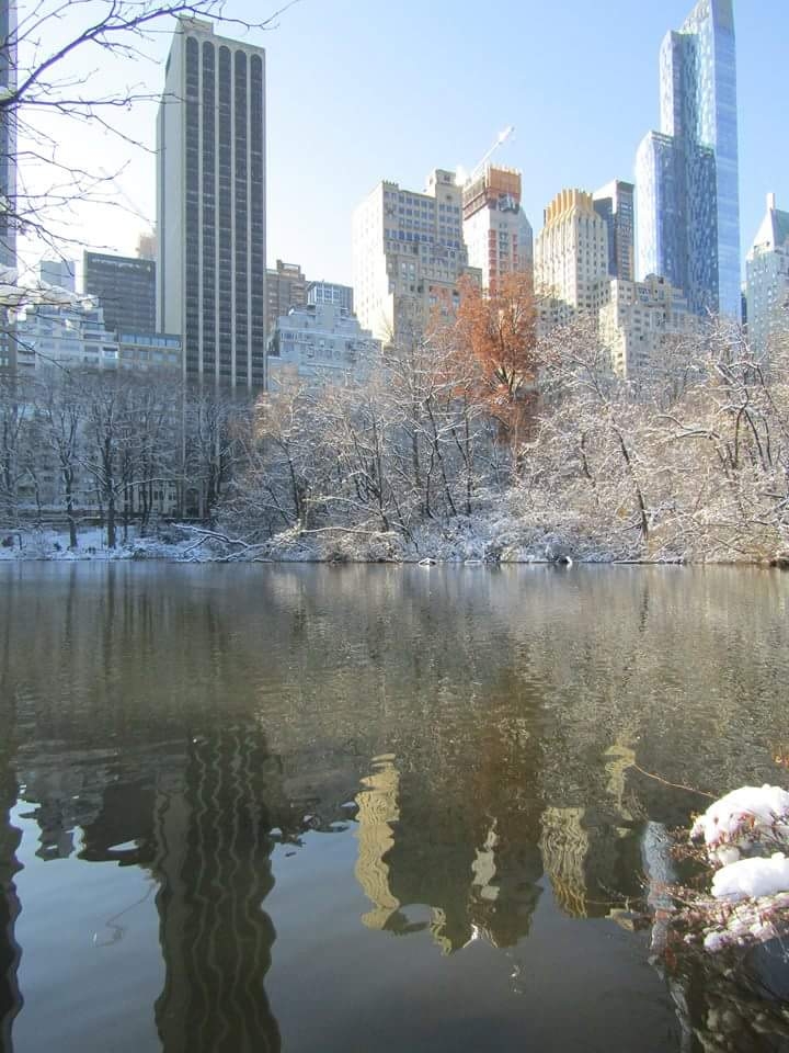 central park