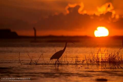 #Nature